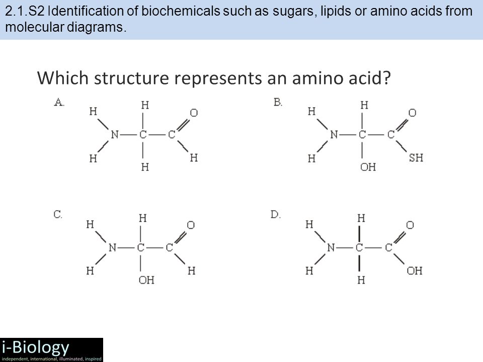 Chromatography of amino acids